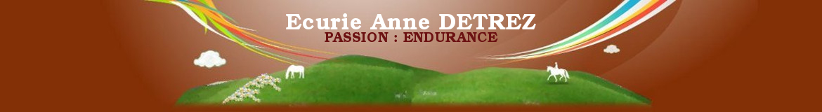Ecurie Anne DETREZ